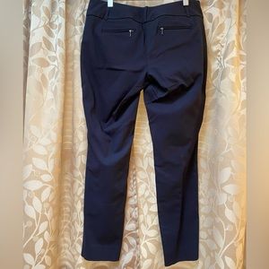 The Limited Exact Stretch dress pants